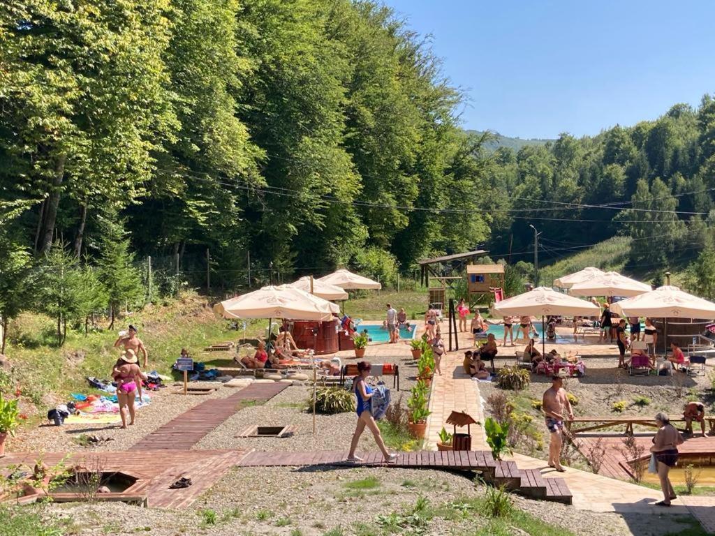Pensiunea Cetate Balvanyos Bagian luar foto